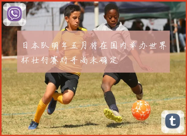 日本队明年五月将在国内举办世界杯壮行赛对手尚未确定