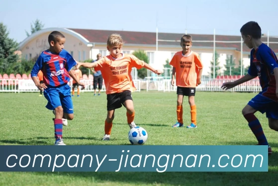 App Interface Preview